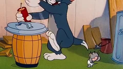 Tom and Jerry Funny Cartons