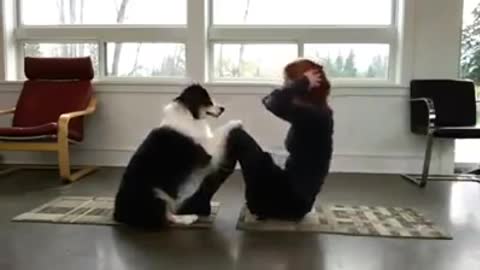 Cute doggo imitates owner