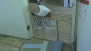 Baby Practices Pole Vaulting Skills In Incredible Gate Escape