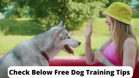 Best Dog Training E-Book FREE! - Download Link in Description