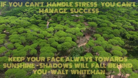 If You can't handle Stress then.....