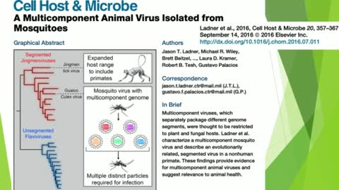 Dr. Judy Mikovits mRNA-Modifying COVID-19 “Vaccines” Are Poison Shots