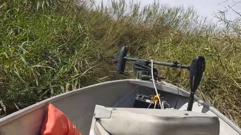 Colorado River Fishing