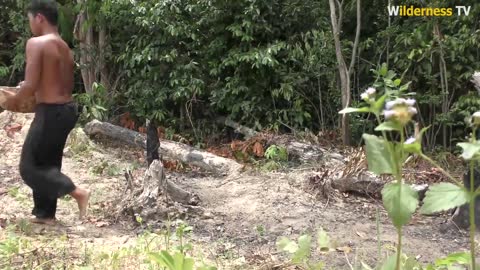 Rescue Abandoned Puppies Building Mud House Dog And Fish Pond.