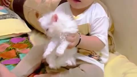 A child playing with kittens