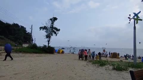 a flock of seagulls flying along the beach