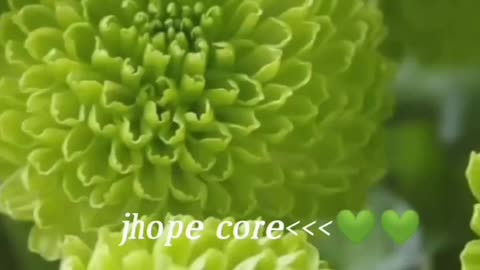 J hope core