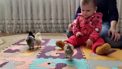 Cute_Baby_Girl_Reacts_to_First_Meeting_with_Baby_Chickens