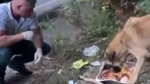 This man gives cooked food away to stray dogs ❤️