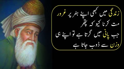 Molana rumi best quotes about Life/Zeeshan Fidai