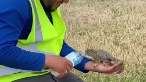 Gives water to the squirrel