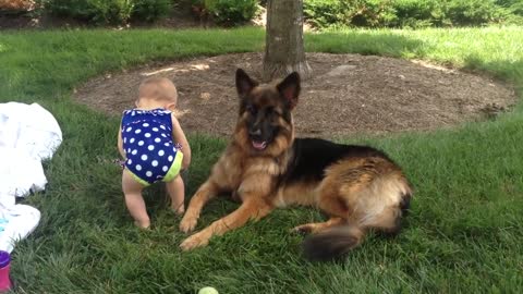 German Shepherd And Baby Videos Compilation #Short l 2021