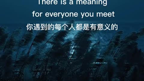 Everyone you meet is meaningful.