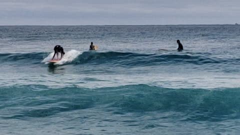 Surfers - Atlantic Ocean off of Palm Beach, Florida