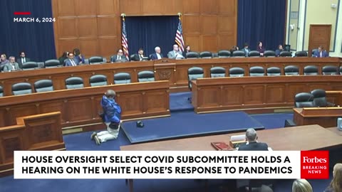 House Select Subcommittee On The Coronavirus Pandemic Holds A Hearing On White House Preparedness