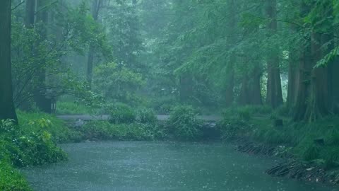 The beautiful little river is raining (4) , sleep, relax, meditate, study, work, ASMR