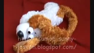 #laughingdog #toydog #funnydog▶▶ Funny Toy Dog laughing like a Human .... Toys for Babies