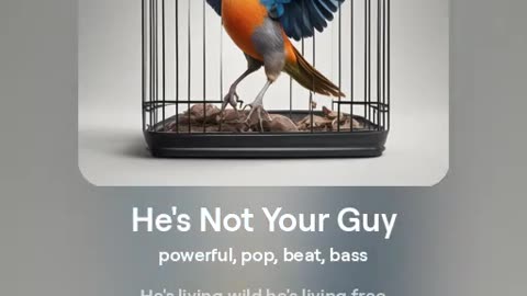 He's Not Your Guy - MUSIC