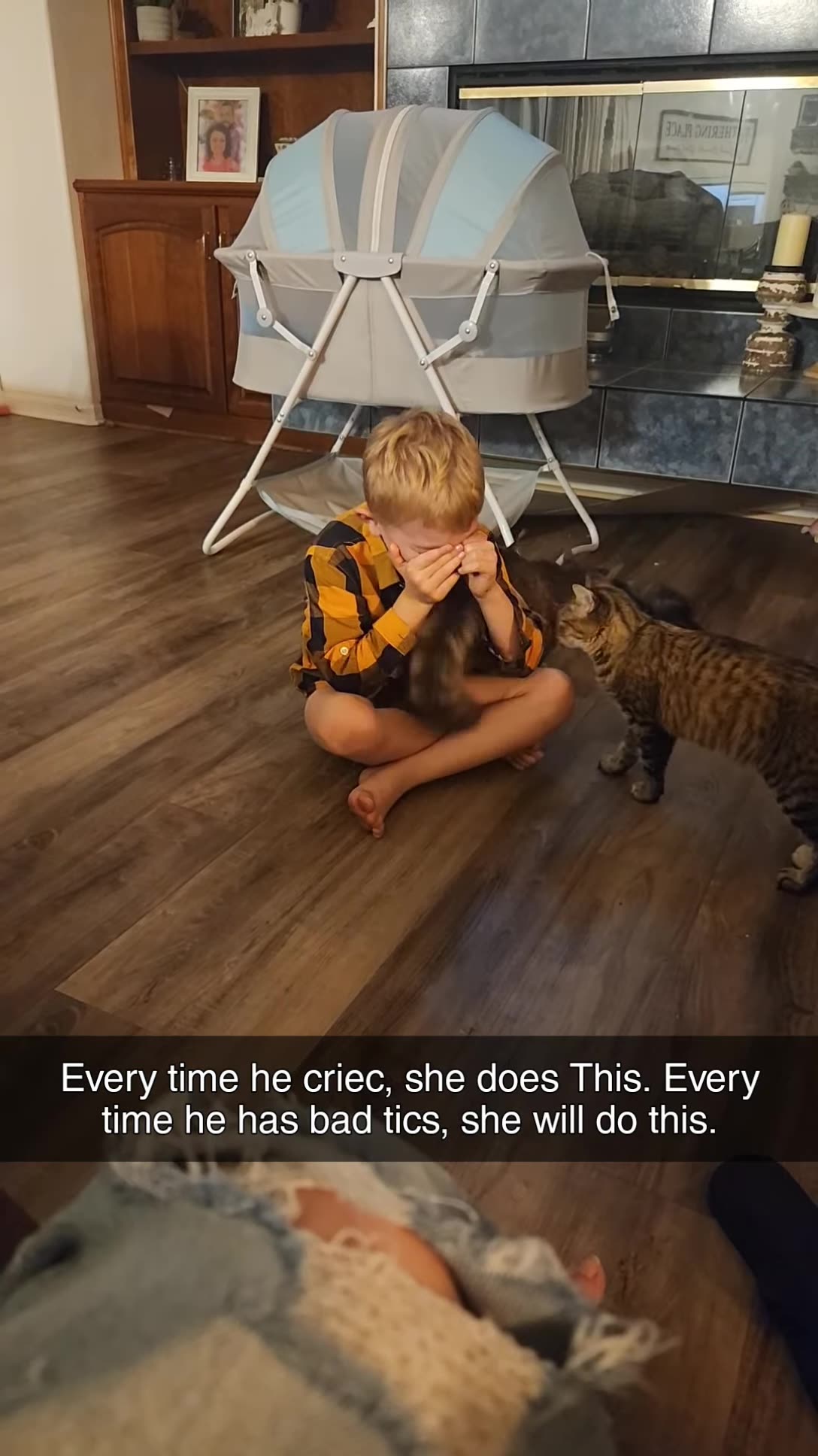Cat Comforts Crying Kid