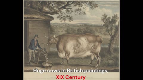Big Cows in 19 century painting in Russia