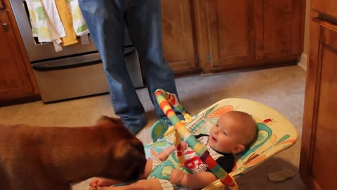 Baby laughing at dog eating bubbles