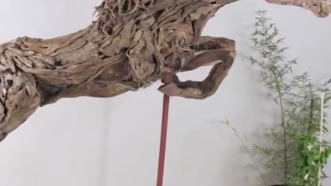 THE ARTIST TAKES DRIFT WOOD FROM THE SHORE AND MAKES THESE AMAZING SCULPTURES!