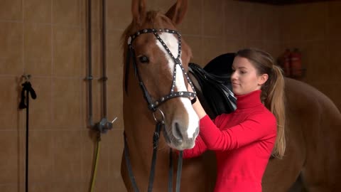 Young woman adjusting horse bridle at stable