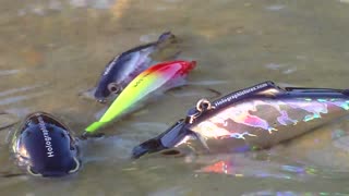 New Holographic Lifelike Lures by penfishingrods.com