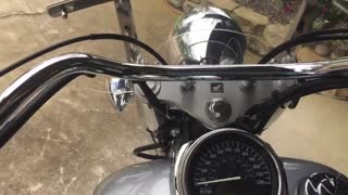 2005 Honda Shadow Mint By Mike Green