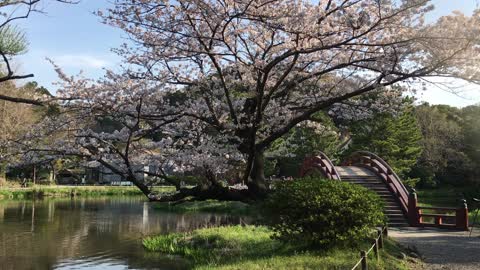 日本庭園