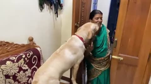 puppy’s long lasting love when mom returned home