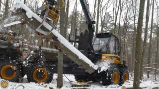 WALDSTERBEN I PONSSE Harvester & Forwarder HOLZFÄLLER - Extremer Einsatz gegen den Borkenkäfer