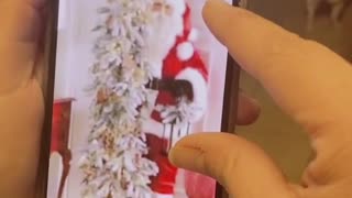 Confusion Over Christmas Ornament