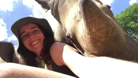 Amazing Rhinos Just Want To Cuddle