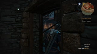 Witcher 3 - The Great Escape How to get out of the prison