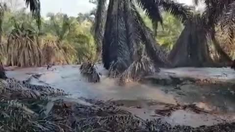 Mancha de petróleo llegó al Río Sogamoso de Santander. Parte 4