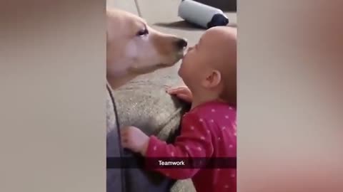 Cute baby and dog together/funny moment