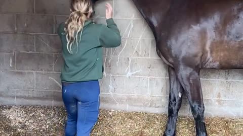 Tall Horse Teases Short Woman