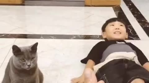 Ohhh.... Funny CAT just shot by its Owner.. See her reaction...!!!!