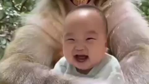 Baby monkey funny video