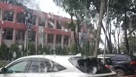 Harrier In the Rain