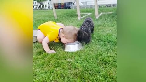Cute Dog and Babies. Dog Babysitting babies videos.