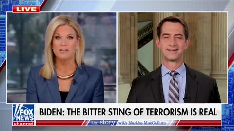 Tom Cotton blasts Joe Biden's UN remarks