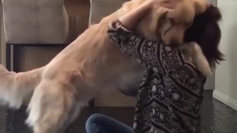 Cute Dogs getting a hug by their owners!
