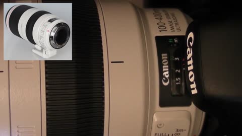 canon 100-400 II vs 150-600mm Sigma and tamron zoom Review.