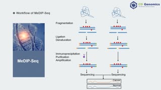 Epigenetic Modifications & Epigenomic Technologies