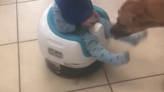 Baby Boy Rides A Roomba Around The Kitchen