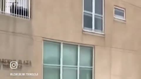 Cat Climbs Wall of Multi-Story Building, Falls Off Unharmed