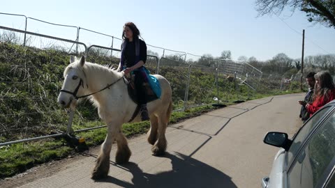 Graceful Gallop: Young Woman Riding a Horse