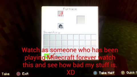 Minecraft World